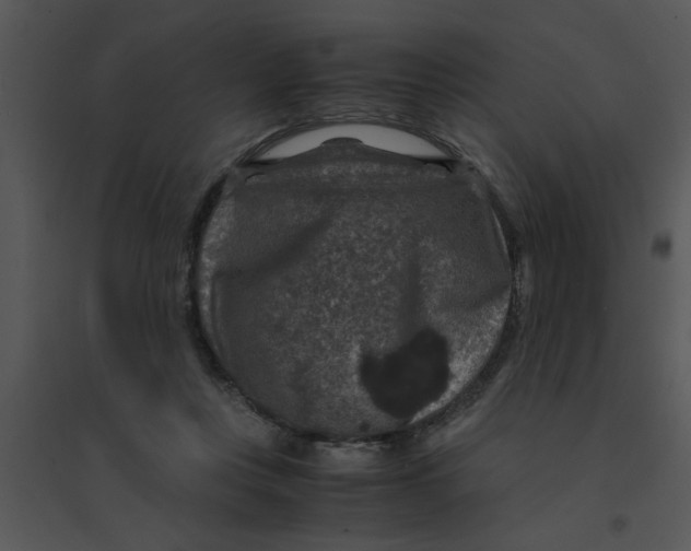 X0000095540359200801041314