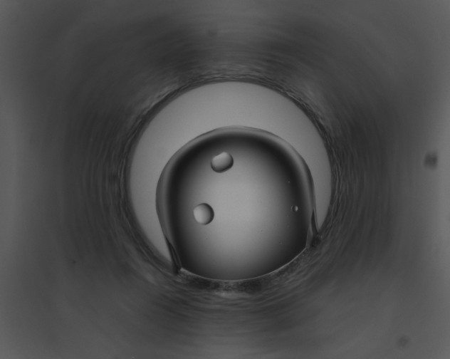 X0000095540360200801041314