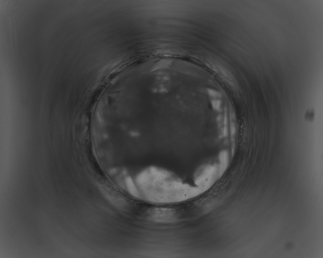 X0000095540361200801041314