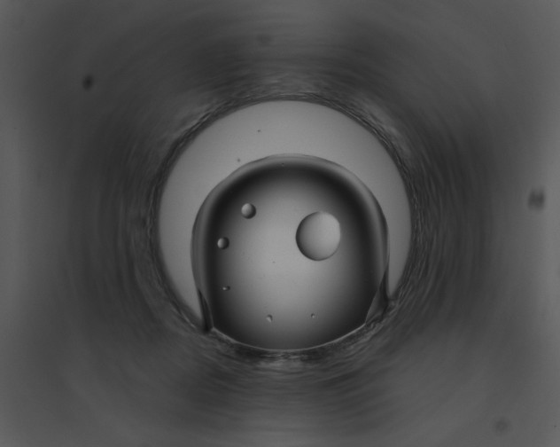 X0000095540362200801041314