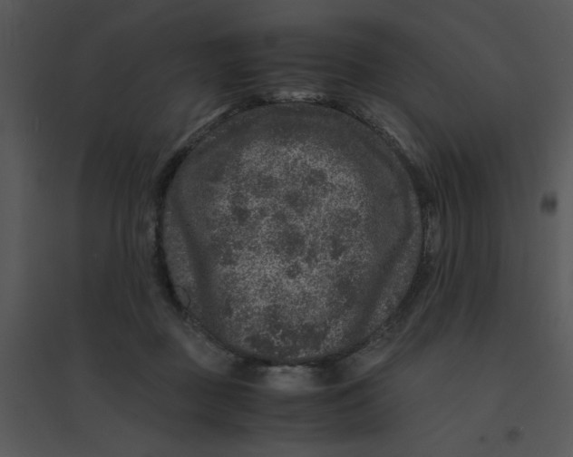 X0000095540363200801041314