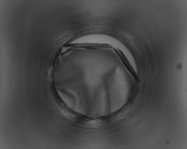 X0000095540364200801041314