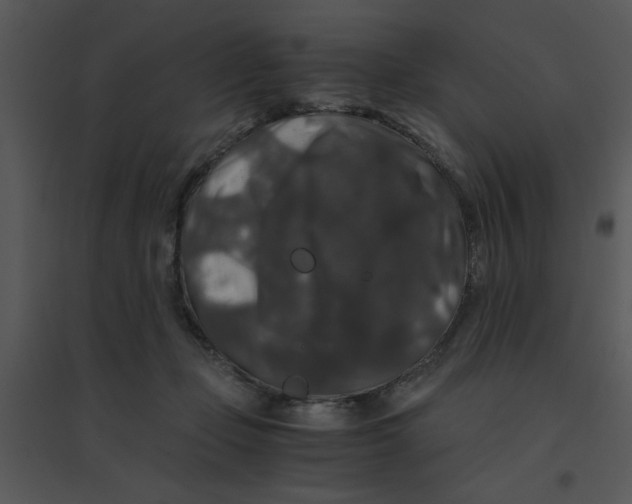 X0000095540365200801041314