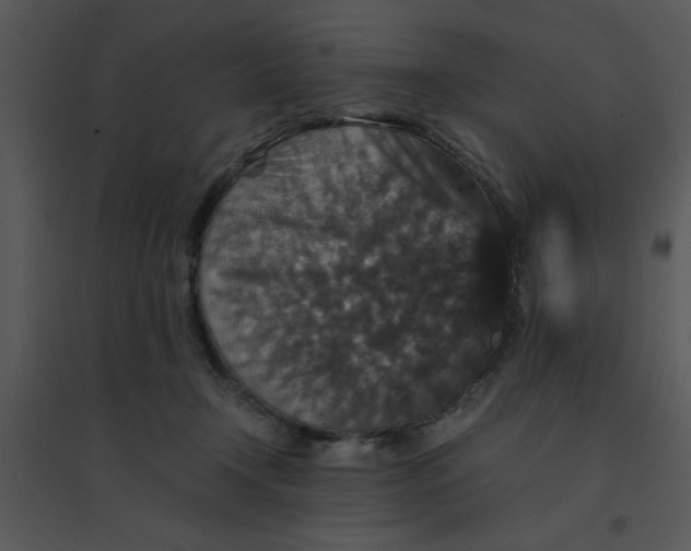 X0000095540366200801041314