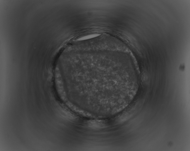 X0000095540367200801041314