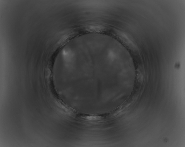 X0000095540371200801041314