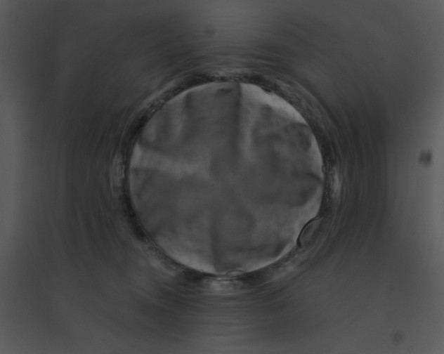 X0000095540372200801041314