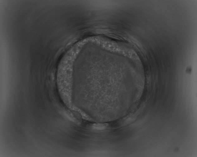 X0000095540373200801041314