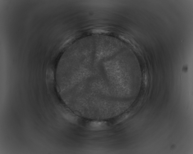 X0000095540375200801041314