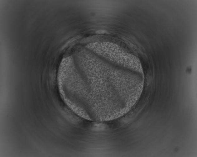 X0000095540376200801041314