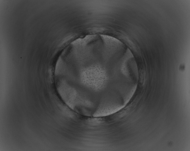 X0000095540378200801041314