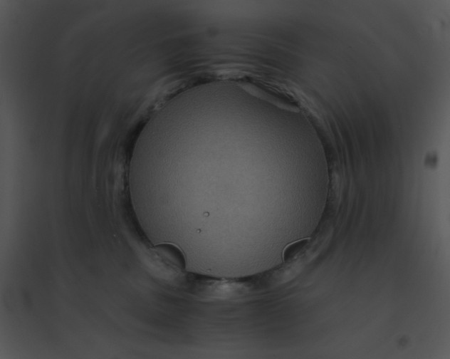 X0000095540379200801041314