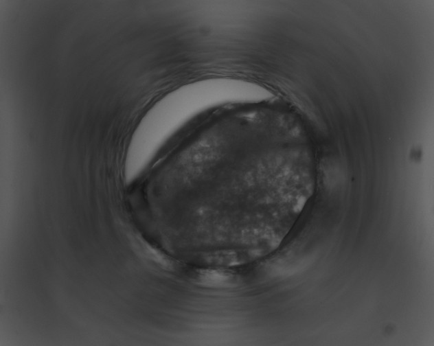 X0000095540380200801041314