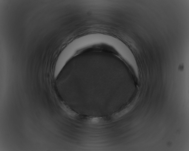 X0000095540382200801041314