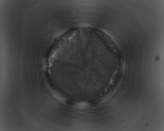 X0000095540383200801041314