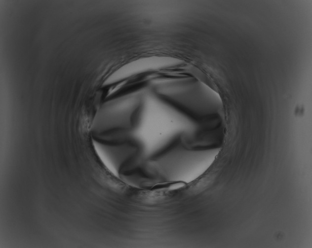 X0000095540384200801041314