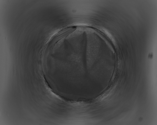 X0000095540385200801041314