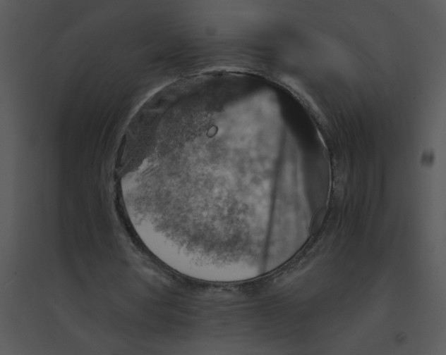 X0000095540386200801041314