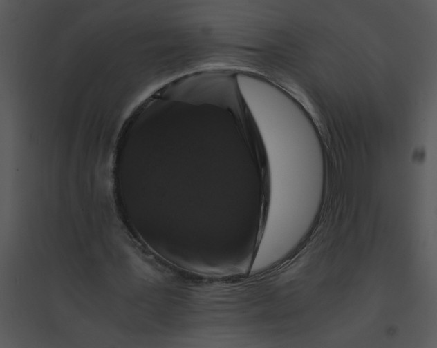 X0000095540387200801041314