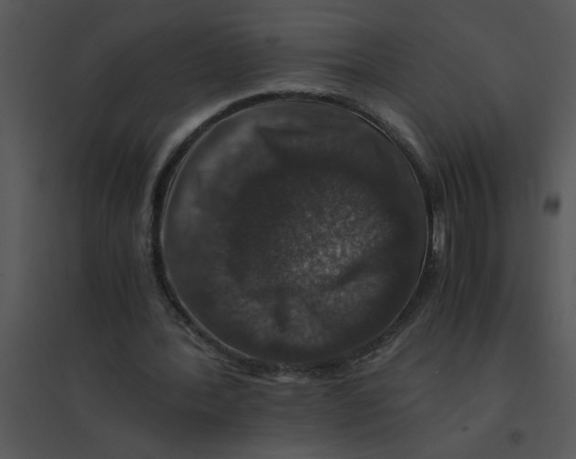 X0000095540388200801041314