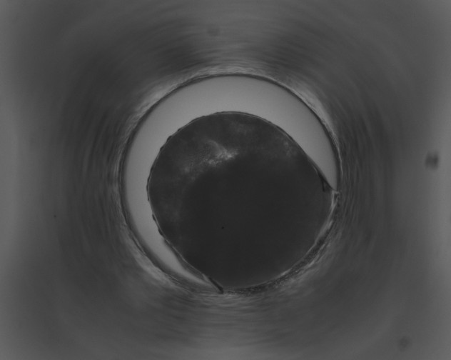 X0000095540389200801041314