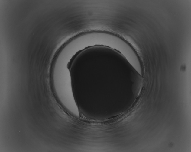 X0000095540391200801041314