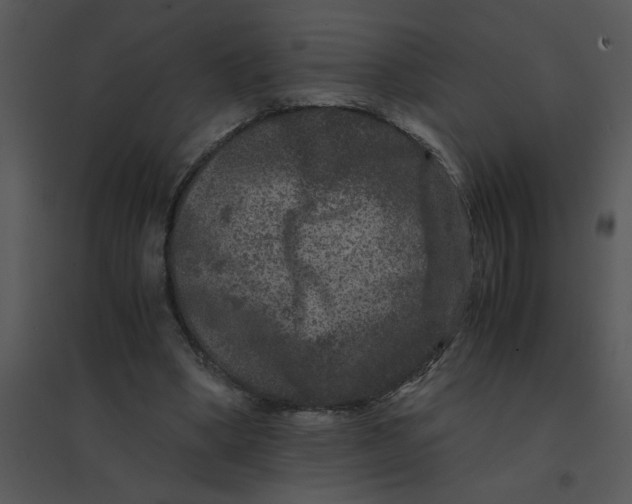 X0000095540394200801041314