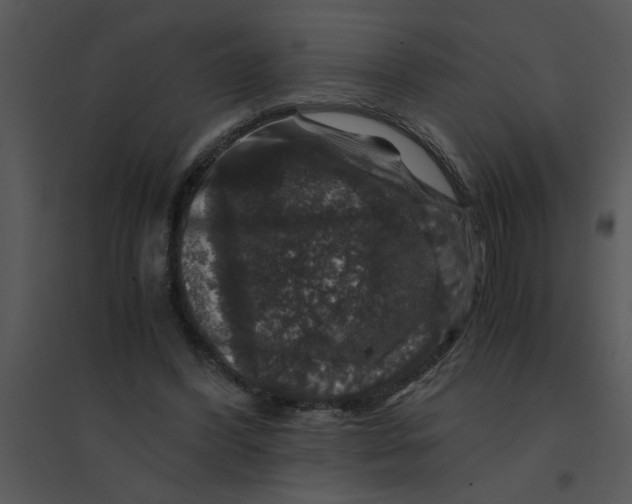 X0000095540396200801041314