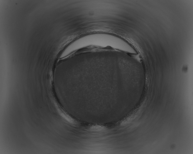 X0000095540397200801041313