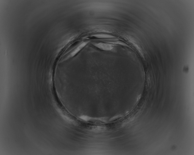 X0000095540398200801041313