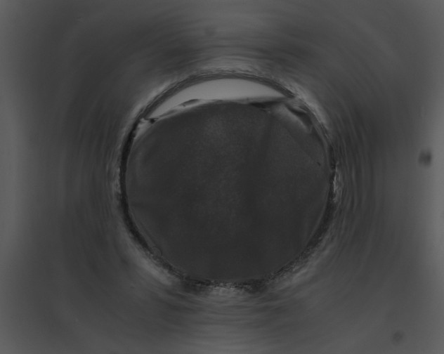 X0000095540399200801041313