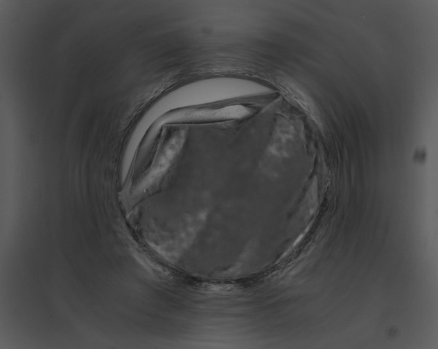 X0000095540401200801041313