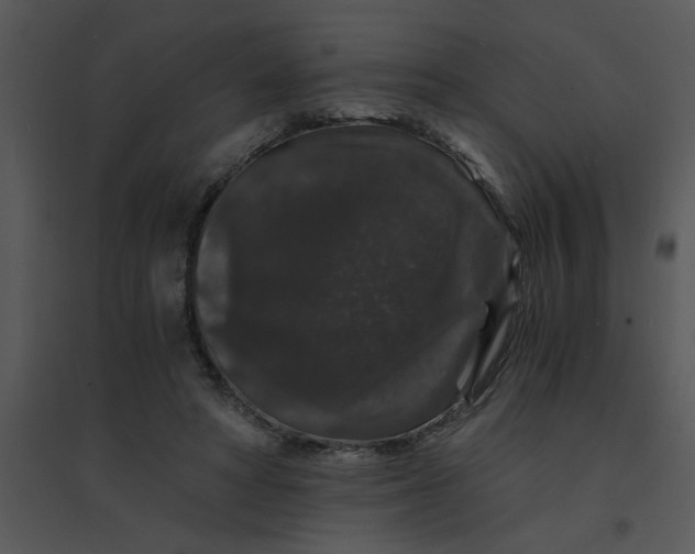 X0000095540402200801041313