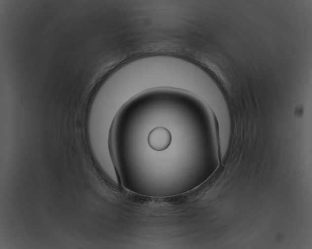 X0000095540403200801041313