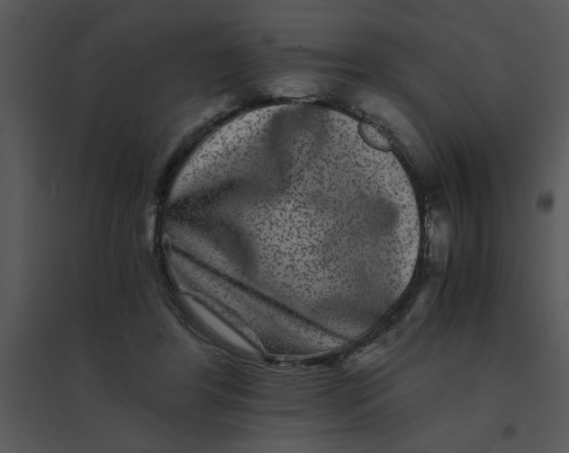 X0000095540404200801041313