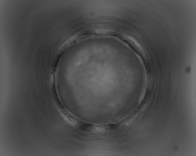 X0000095540405200801041313