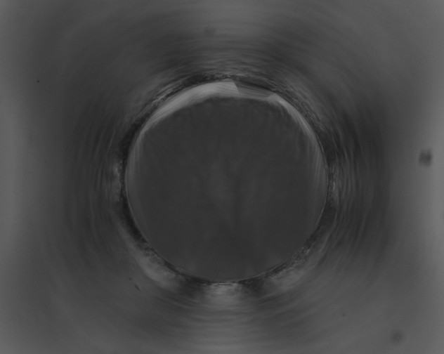 X0000095540410200801041313