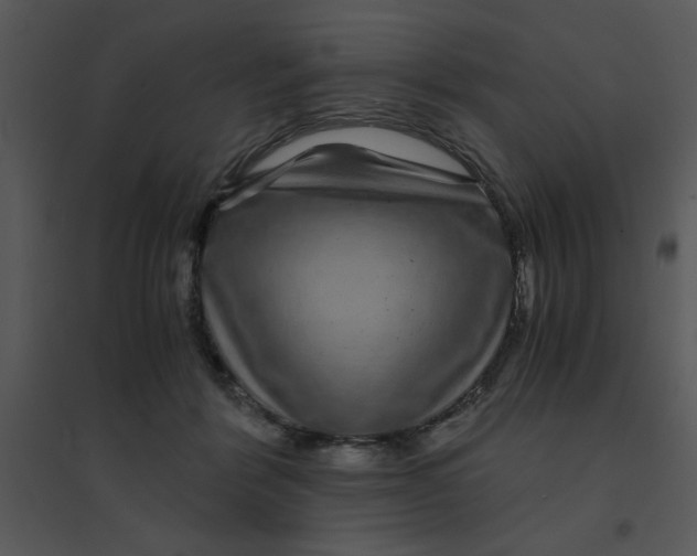 X0000095540412200801041313