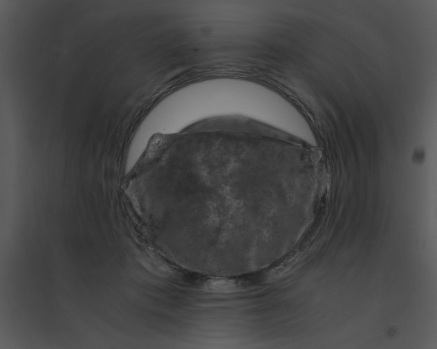 X0000095540413200801041313