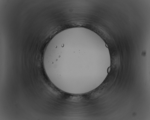 X0000095540414200801041313