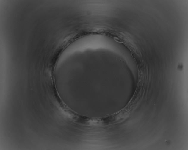 X0000095540415200801041313