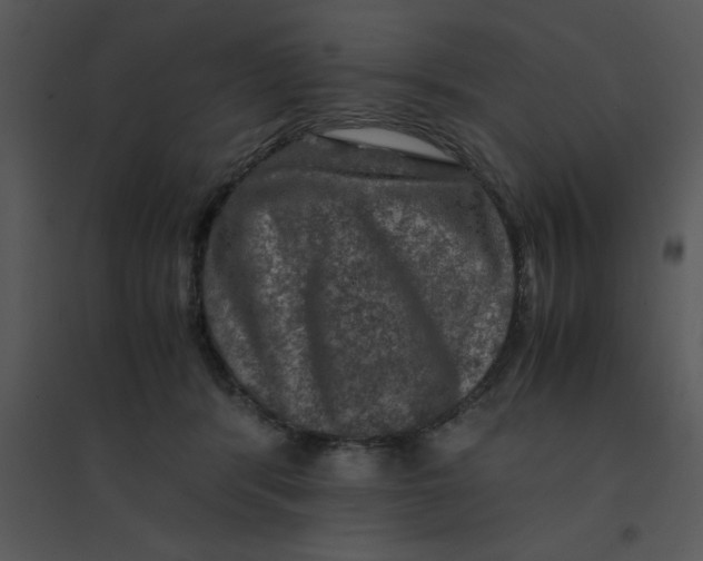 X0000095540416200801041313