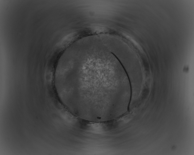 X0000095540417200801041313