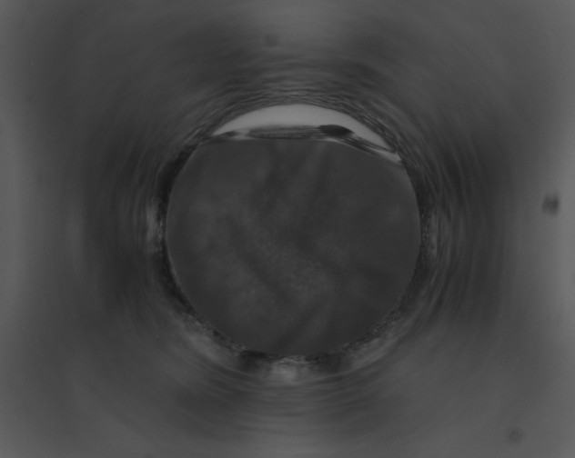 X0000095540420200801041313