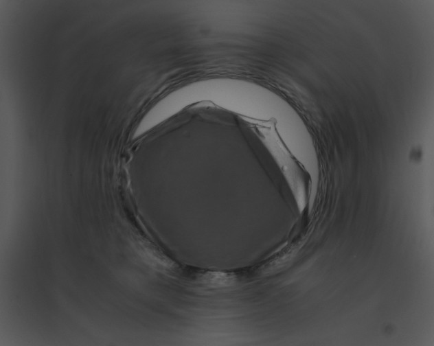 X0000095540421200801041313