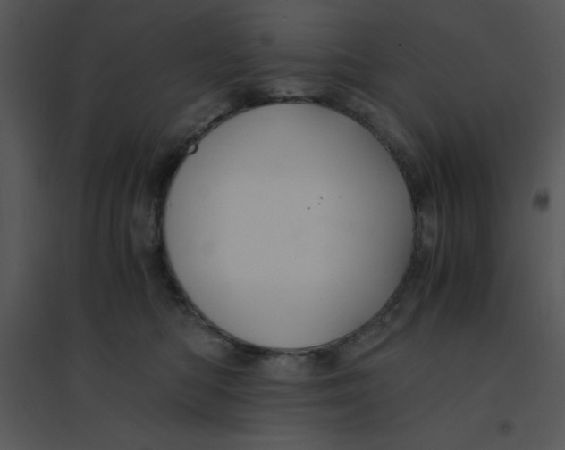 X0000095540422200801041313