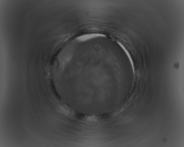 X0000095540423200801041313