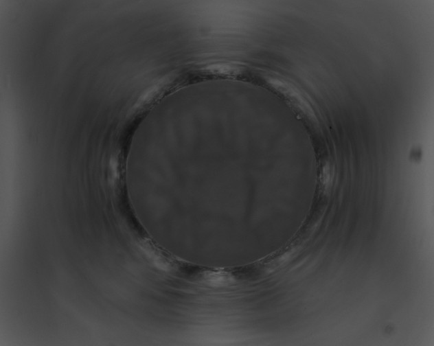 X0000095540424200801041313