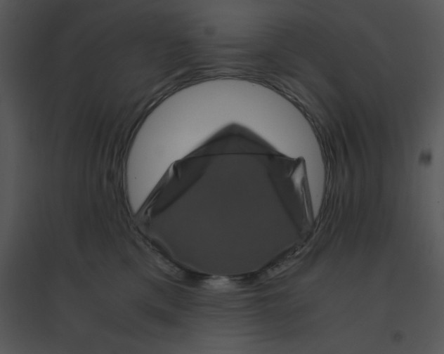 X0000095540425200801041313