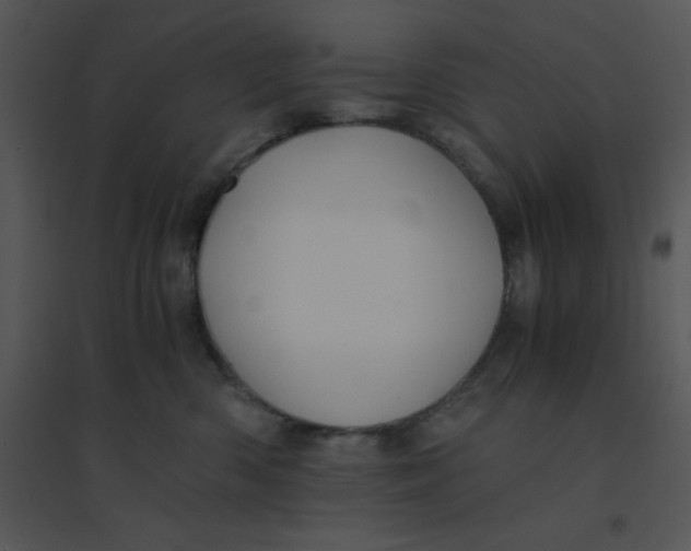 X0000095540426200801041313